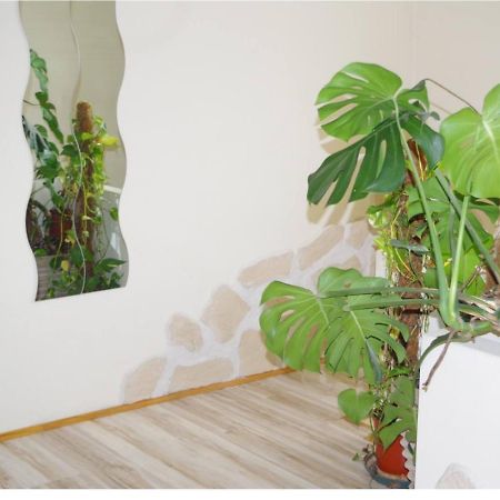 L'Appartement 90M2 Climatise อาวีญง ภายนอก รูปภาพ