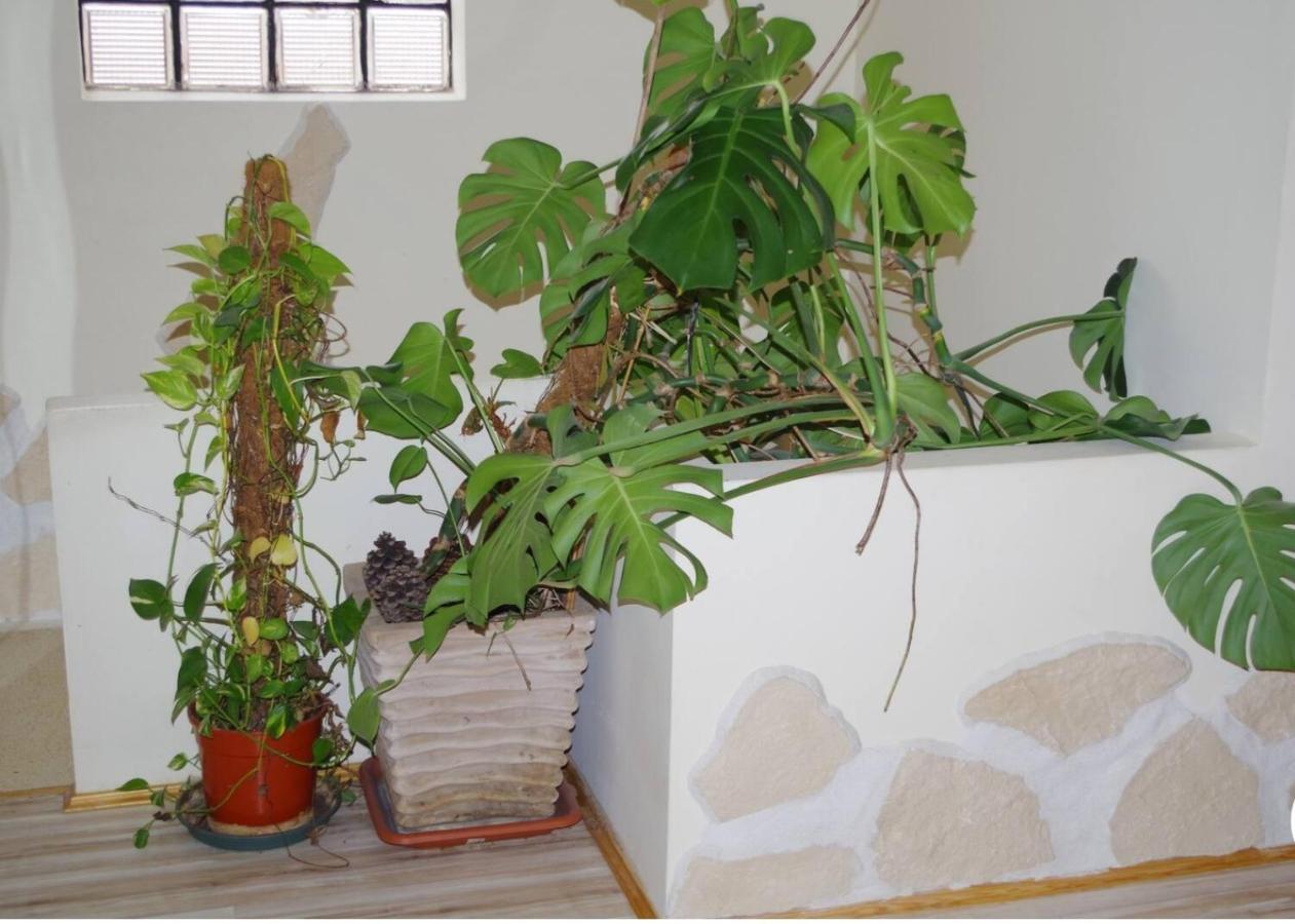 L'Appartement 90M2 Climatise อาวีญง ภายนอก รูปภาพ